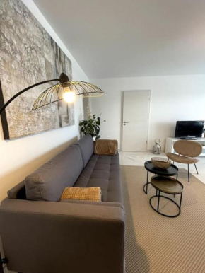 Magnifique appartement à la frontière suisse